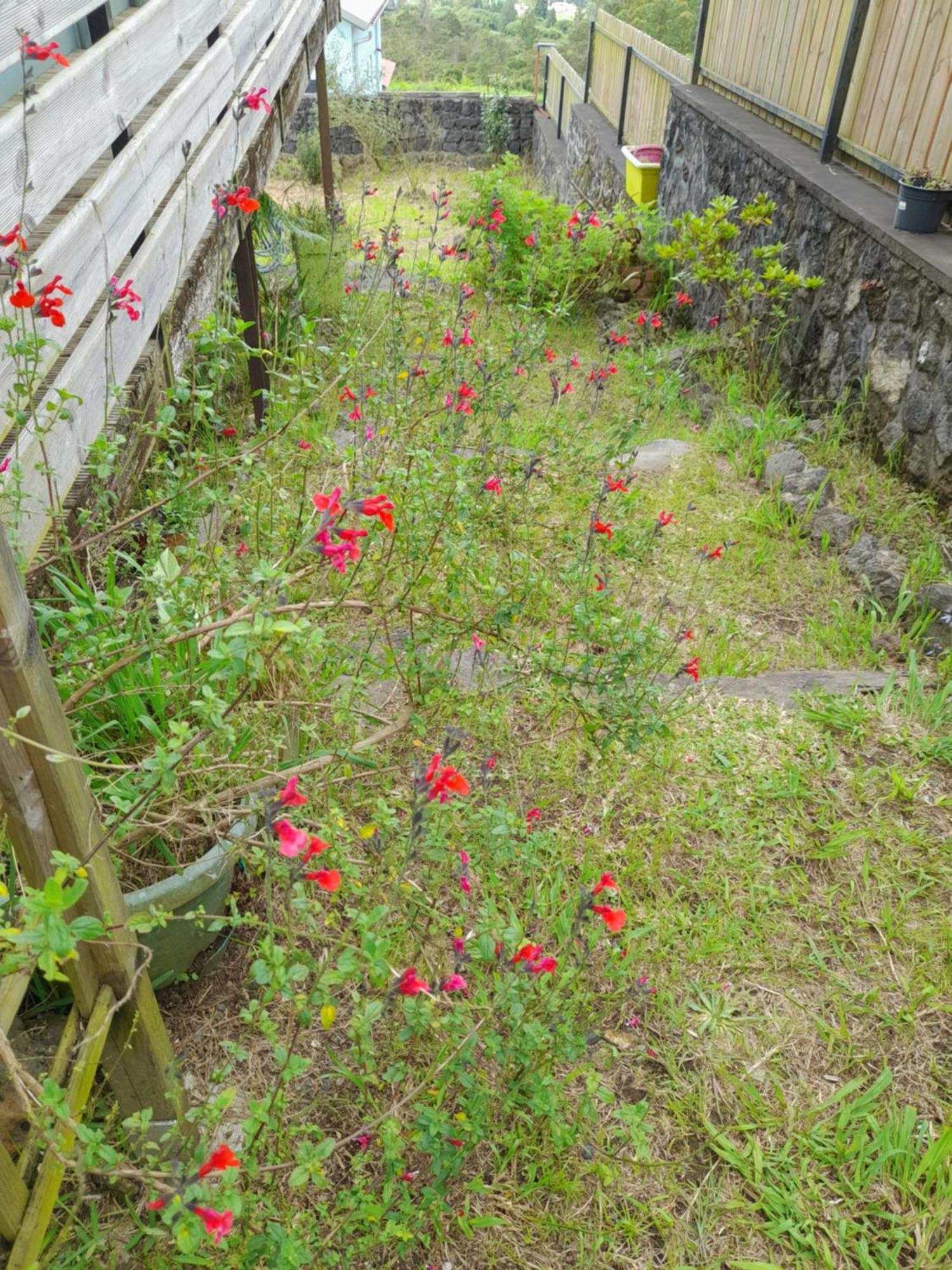 Chez Marie Villa La-Plaine-des-Palmistes Exteriör bild